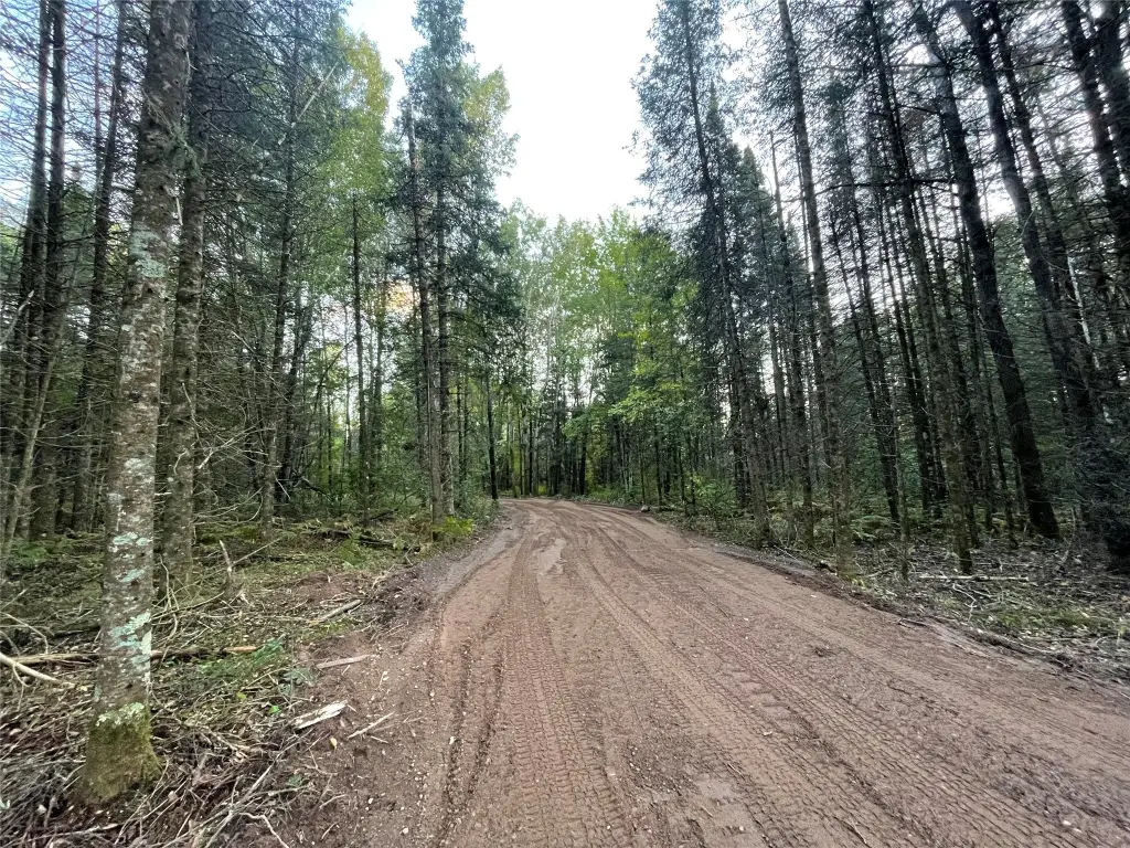 Picture 2