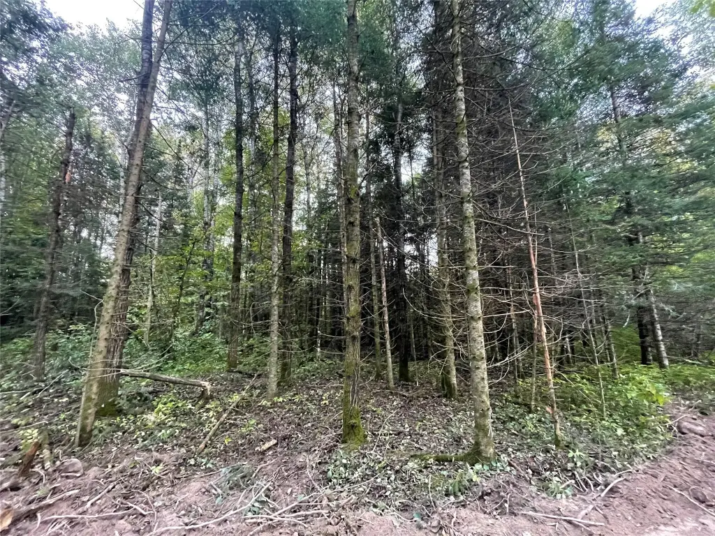 Picture 16