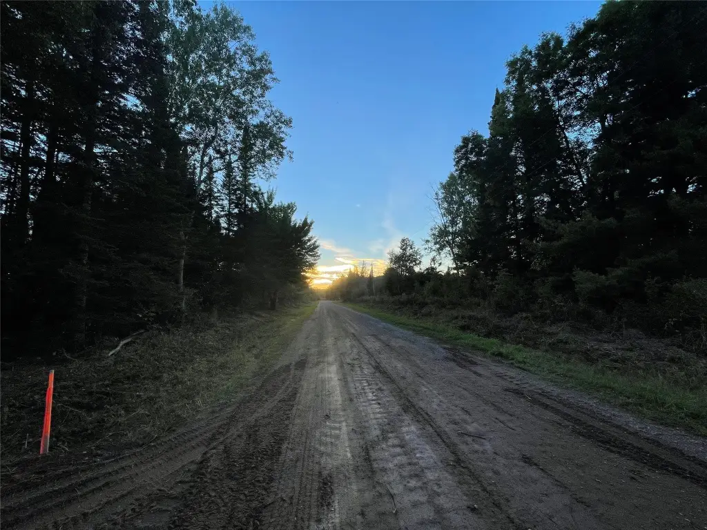 Picture 19