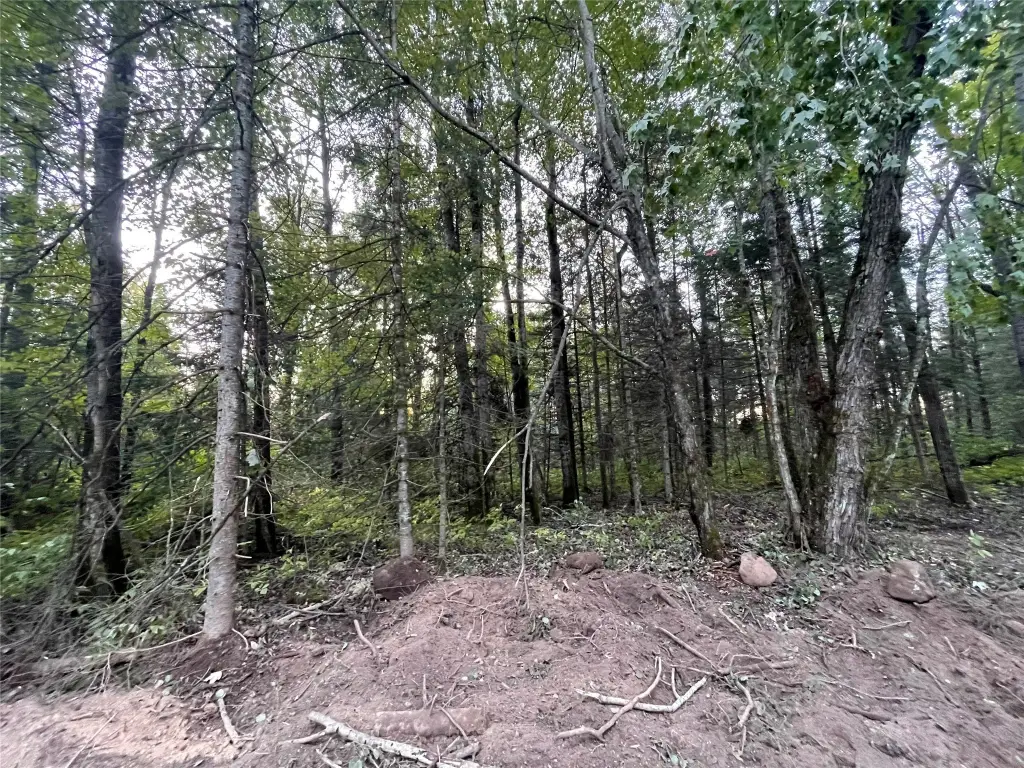 Picture 17