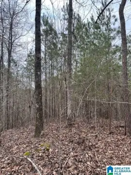 17.5 Acres Near I-65