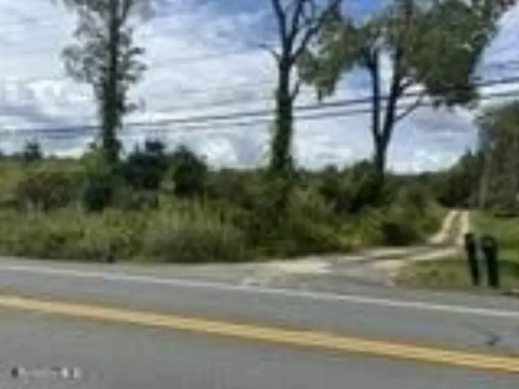 Picture 20