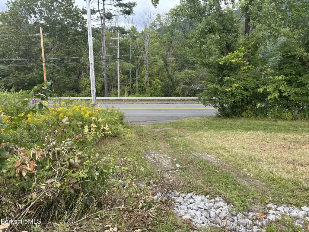 Picture 19