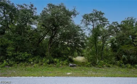 Partially Cleared Waterfront Land