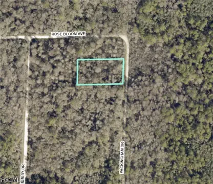 Wooded Recreational Land Parcel