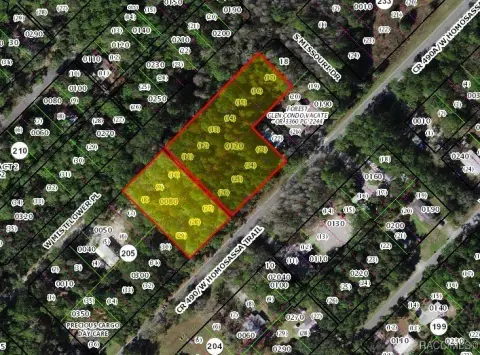 Homosassa, FL Commercial Land