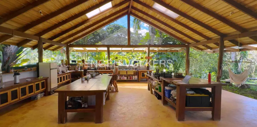 Picture 13
