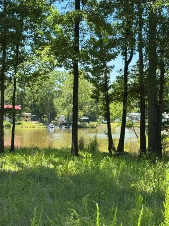 Picture 2
