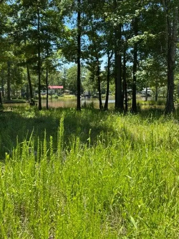 Picture 3