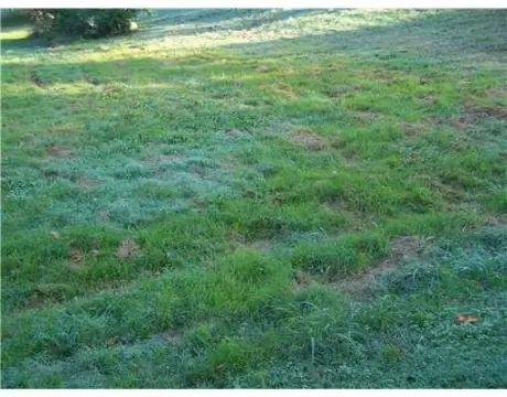 Residential Building Lot in Paris