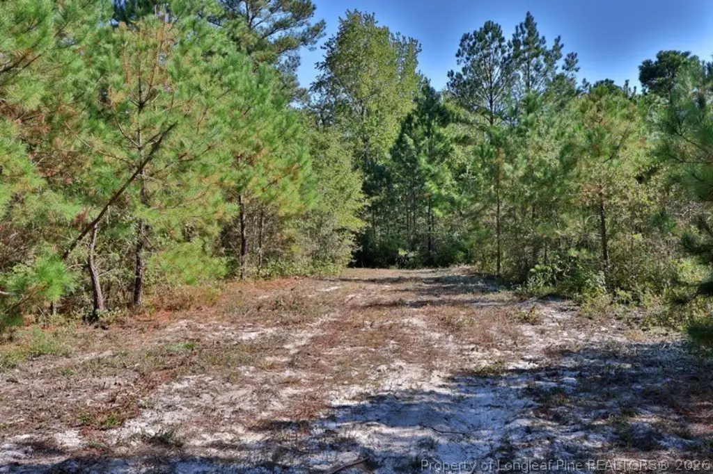 Picture 7