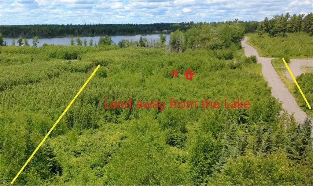 Picture 5