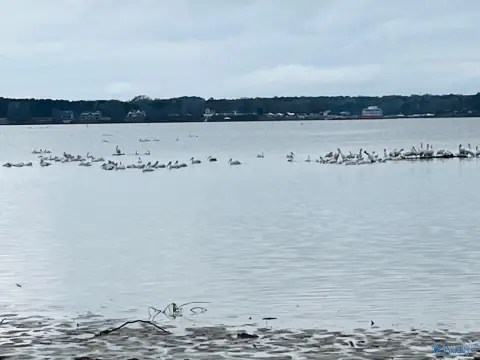 Waterfront RV Lot on Weiss Lake