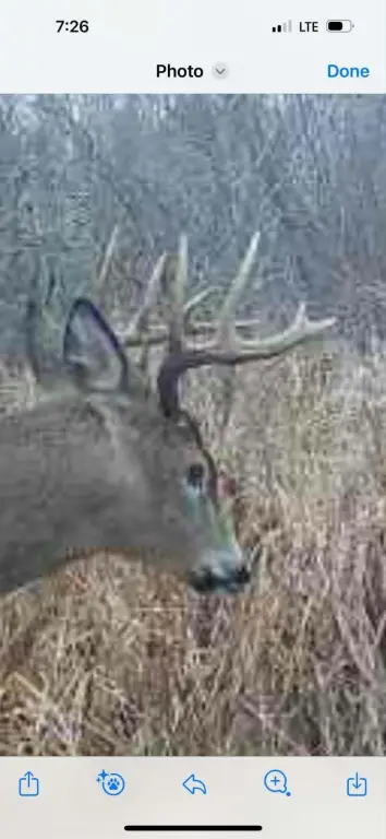 Picture 11