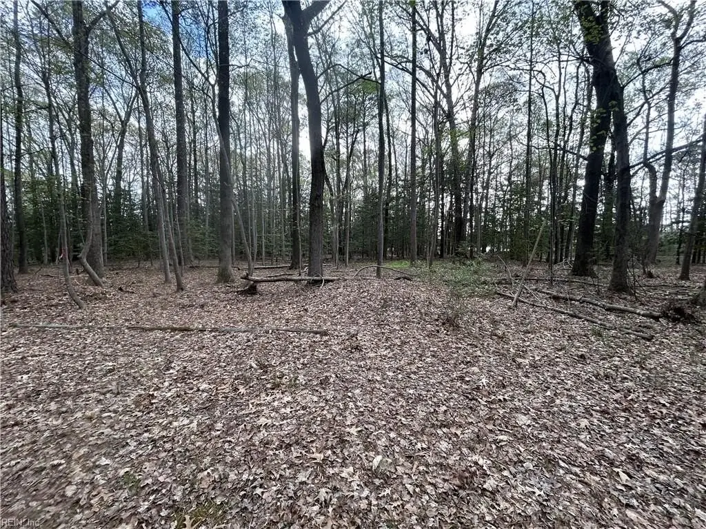 Picture 3