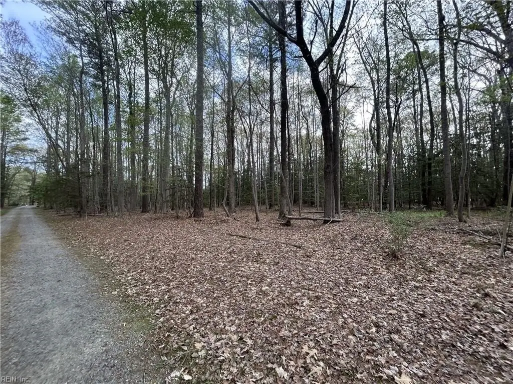 Picture 2