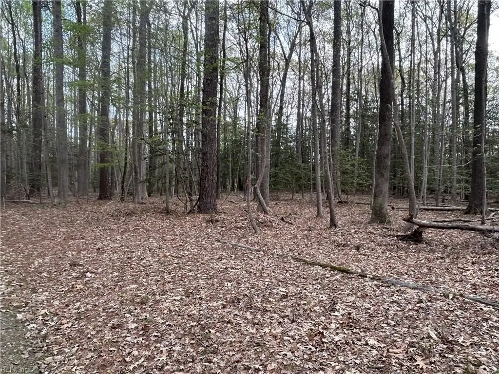 Picture 4