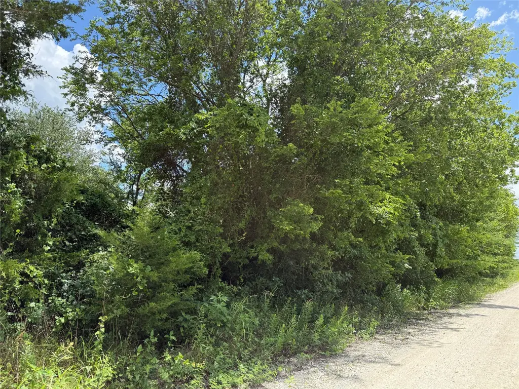 Picture 15