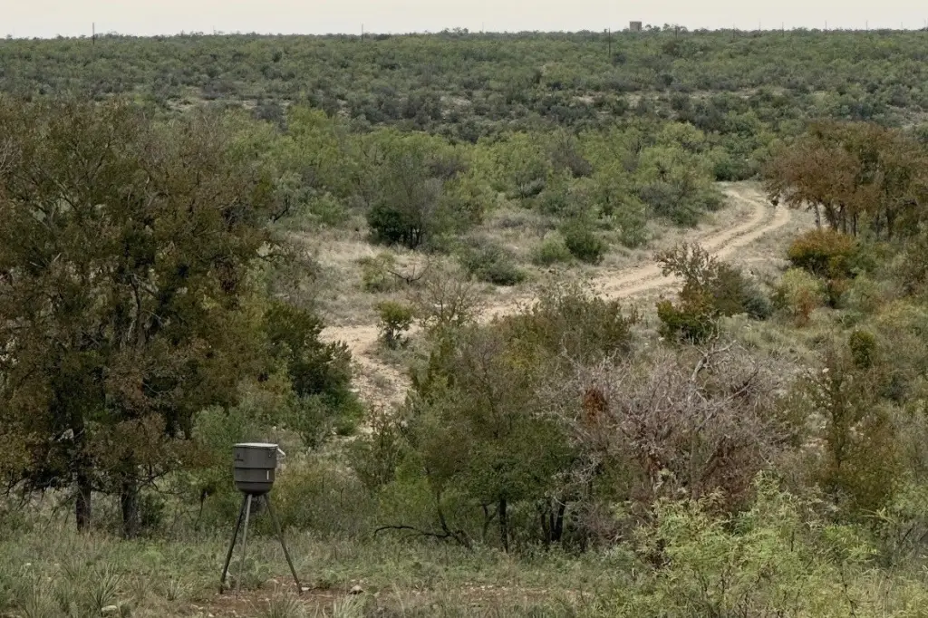Picture 9