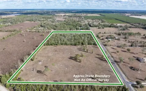 20 Acres Near Live Oak