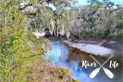 Suwannee Riverfront Residential Lot