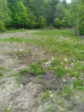 Wooded Land with Well in Ossipee