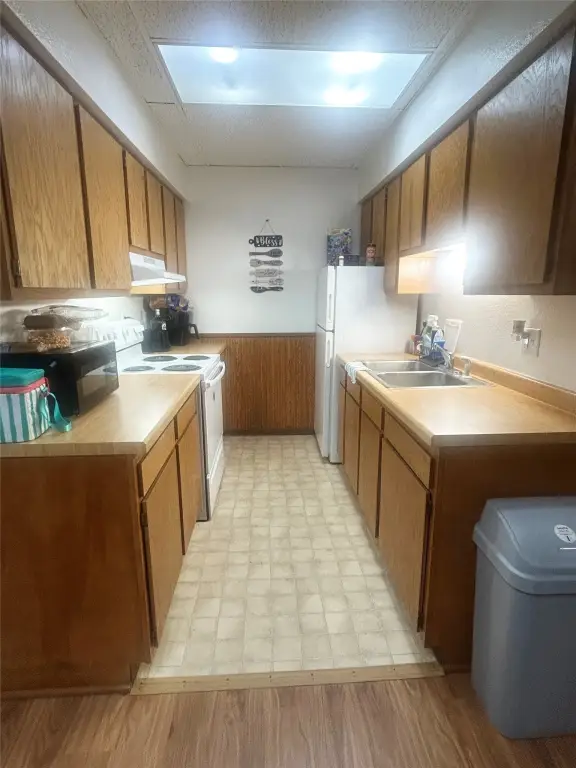 Picture 14