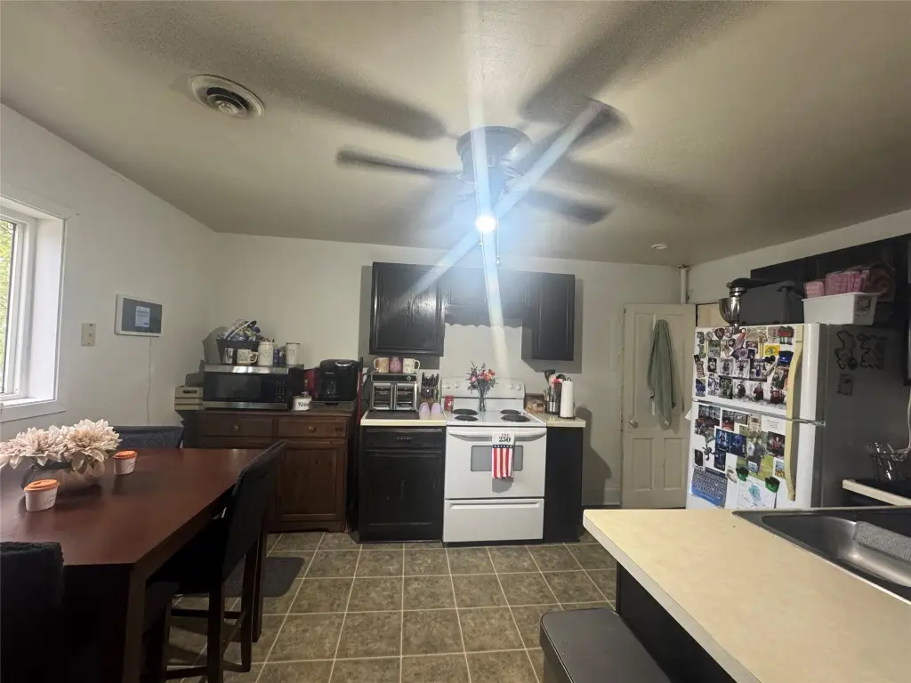 Picture 5