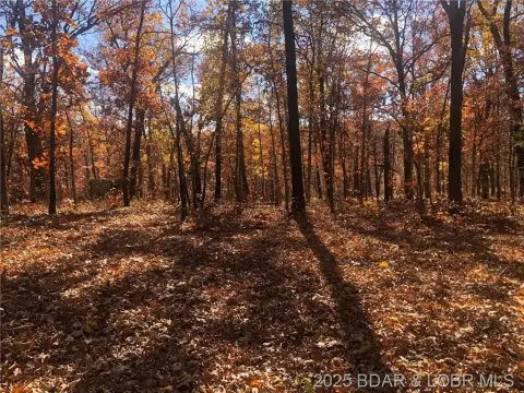 Versailles Land Near Highway 5