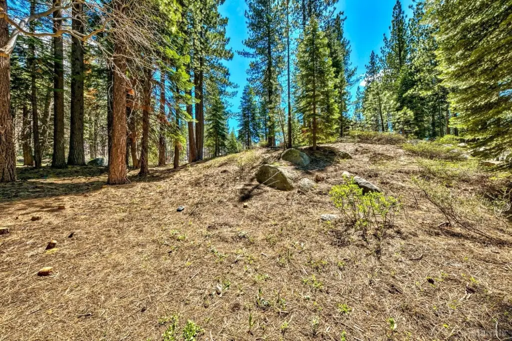 Picture 12