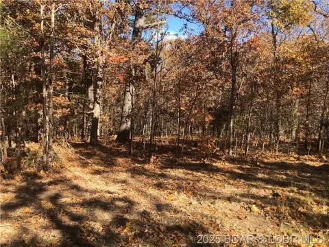 Versailles Land for Sale