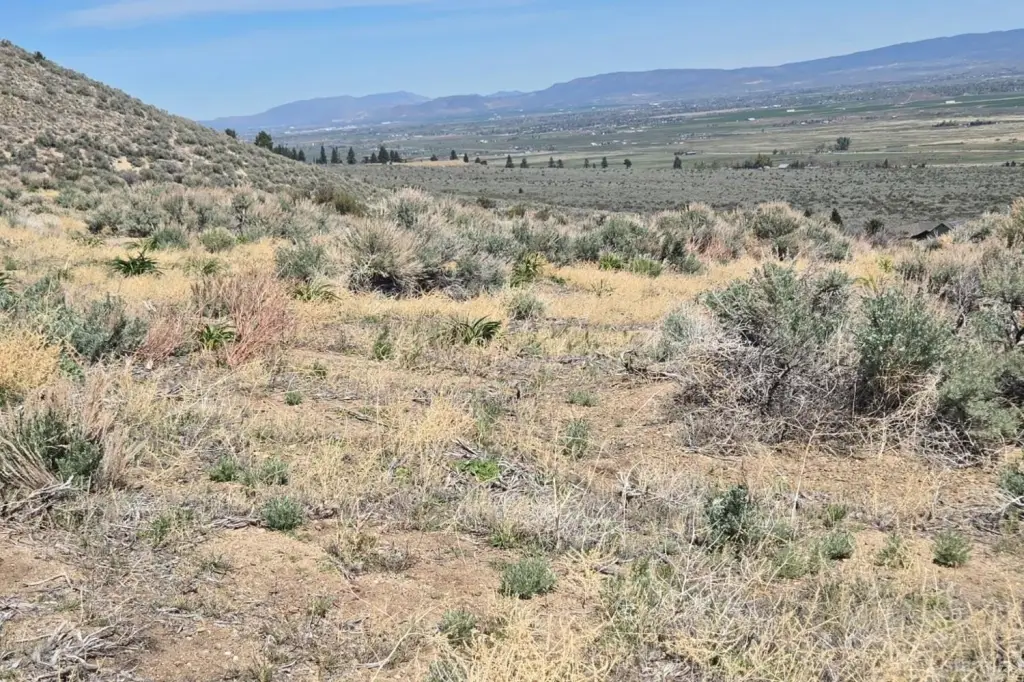 Picture 19