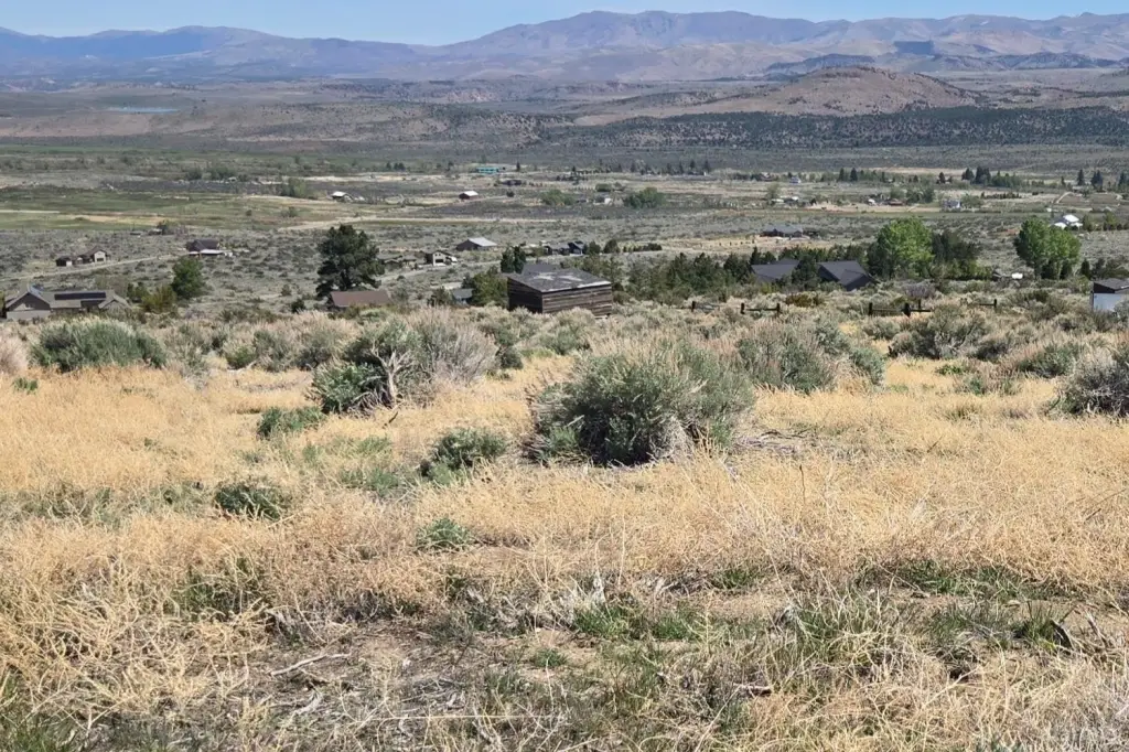 Picture 21