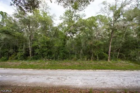 Rural Vacant Land Lot