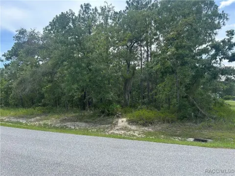 Residential Land in Sugarmill Woods