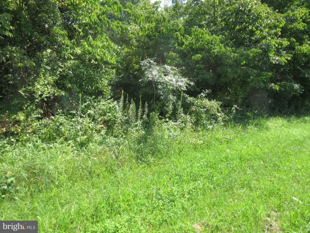 Picture 3