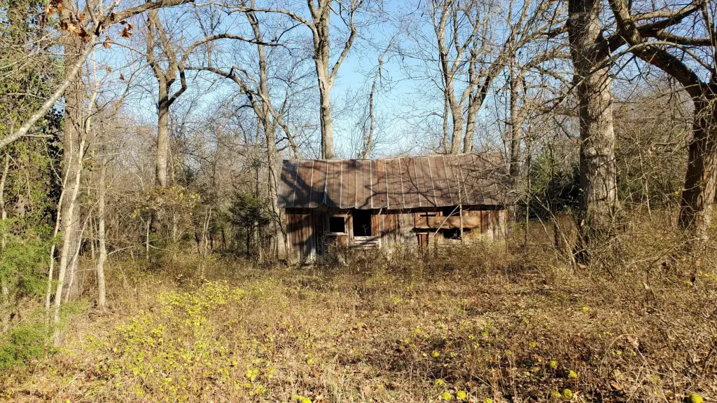 Picture 5