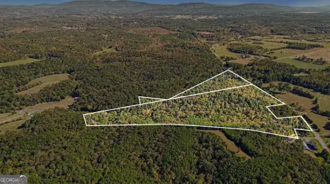 Wooded Land Tract
