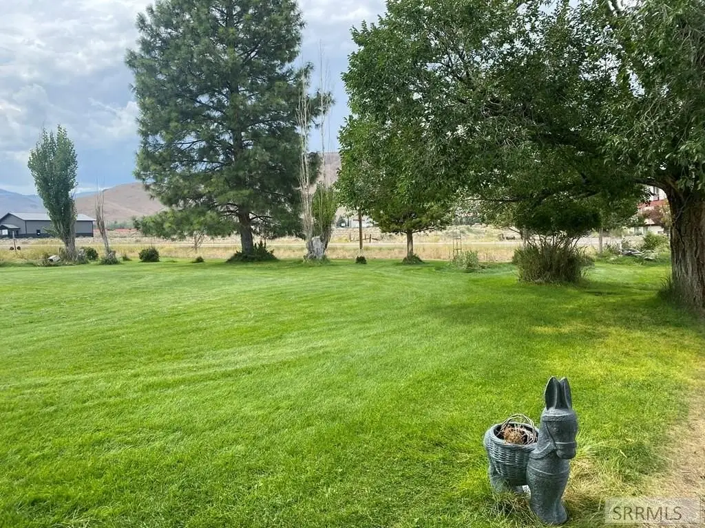 Picture 42