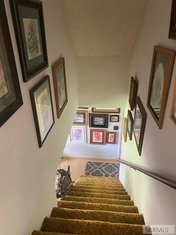 Picture 20