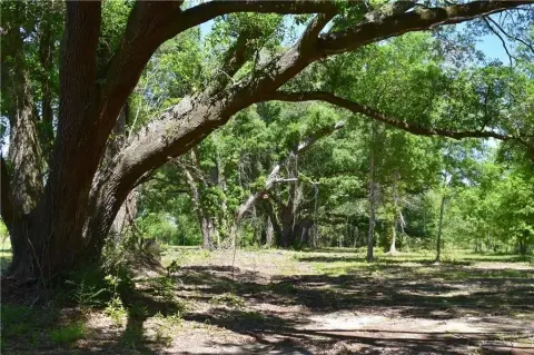 Land For Sale, Pearl River