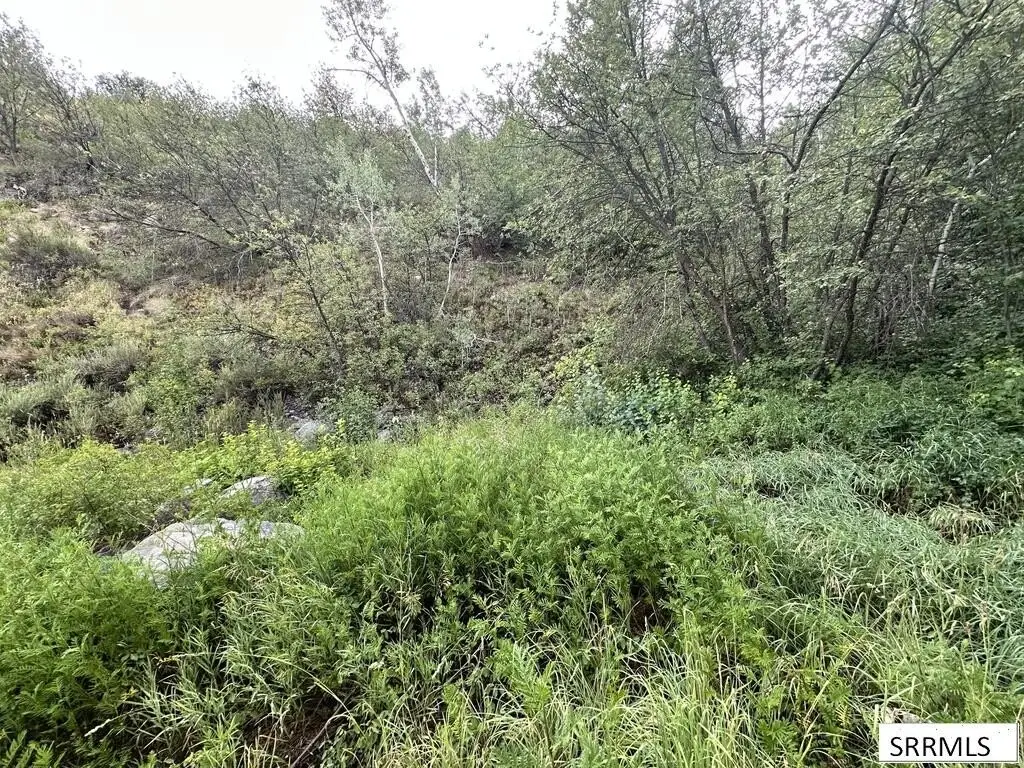 Picture 5