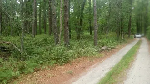 Marion Land in Private Setting