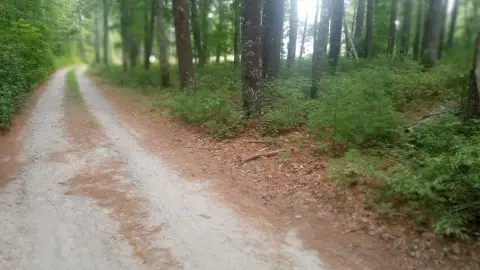 Marion Land in Private Setting