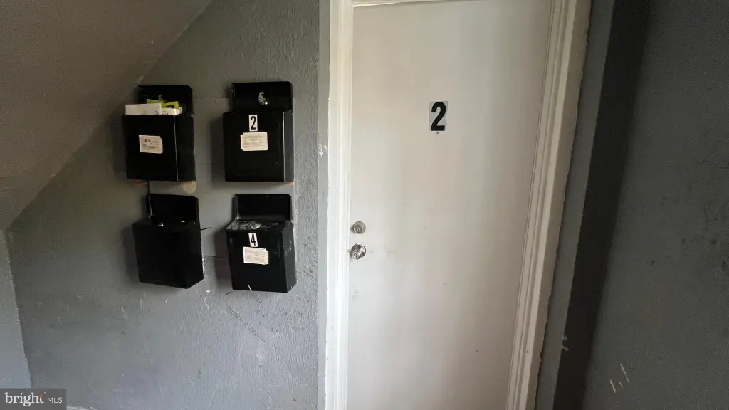 Picture 5