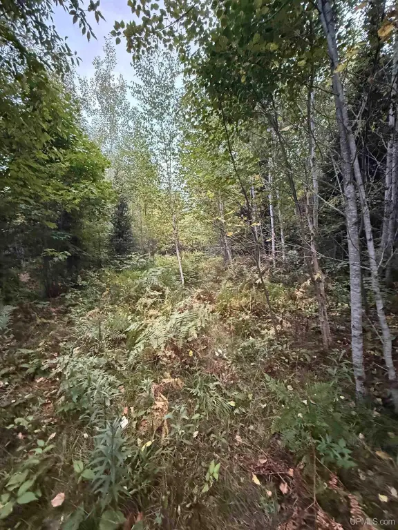 Picture 10