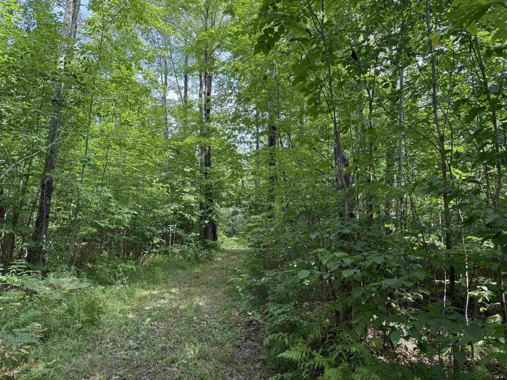 Picture 19