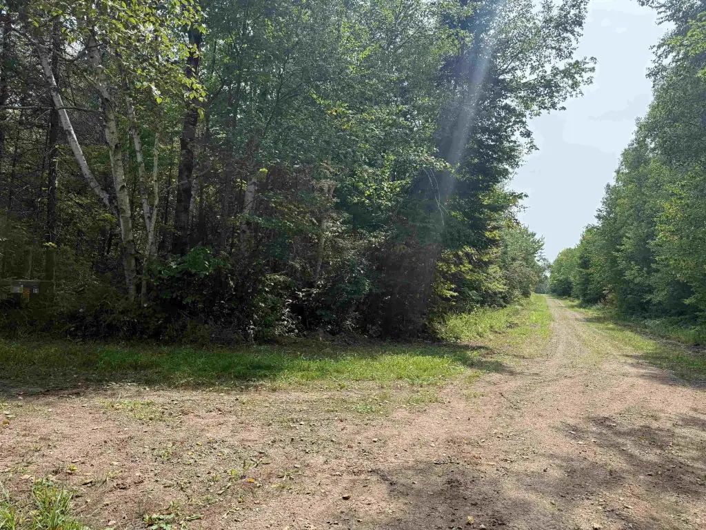 Picture 25