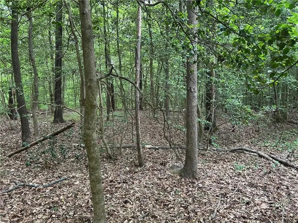 Picture 11