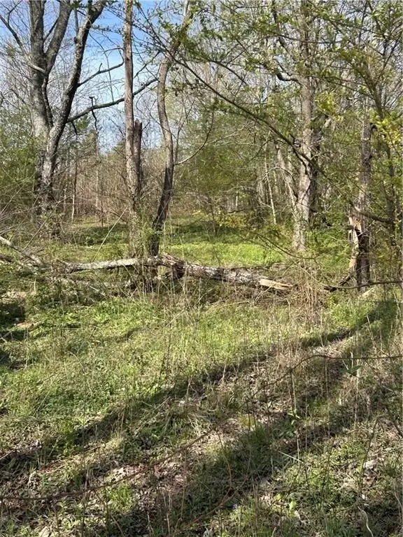 Picture 8
